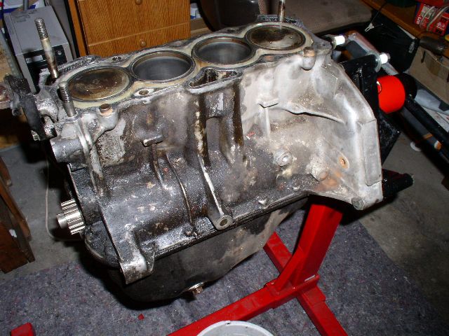 P4130002.JPG