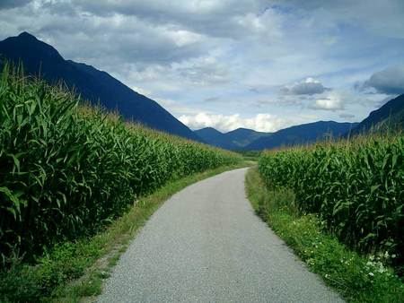 Zurueck zum Fliegercamp.jpg