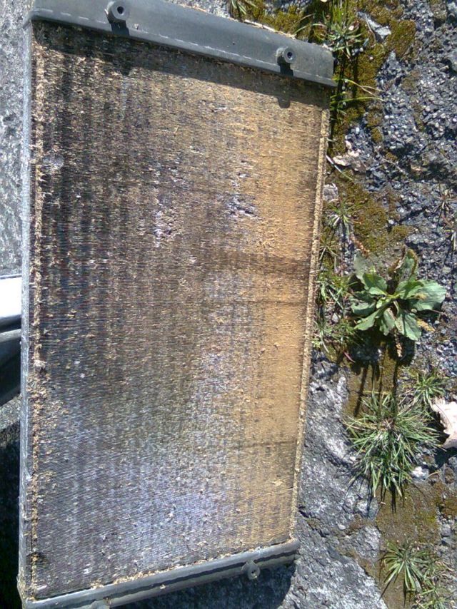 Bild0359.jpg
